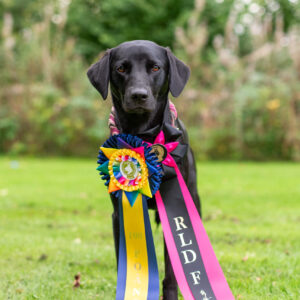 Start 26-05-18, Rallylydnad Fortsättningsklass