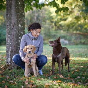 Start 26-05-21 Föreläsning Hur bygger du ett riktigt bra träningspass